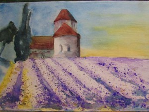 Lavendelfeld                       